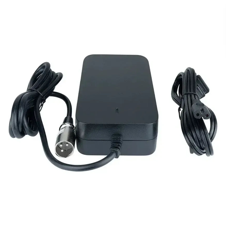 54.6v 3ah fast charger for roadrunner wocomotors