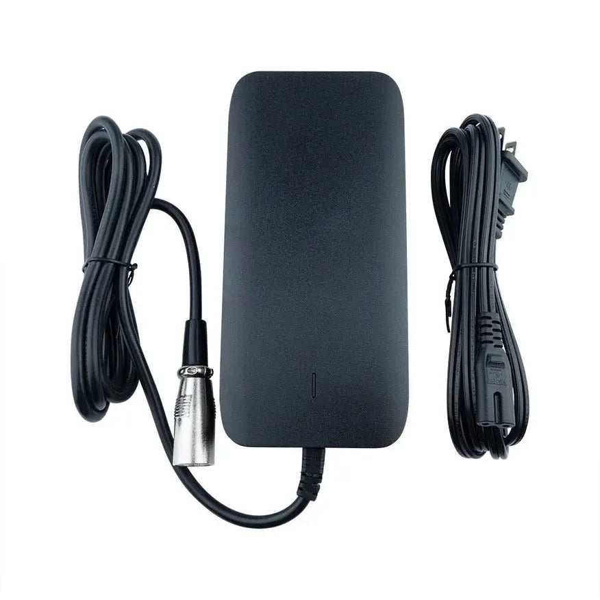 54.6v 3ah fast charger for roadrunner wocomotors