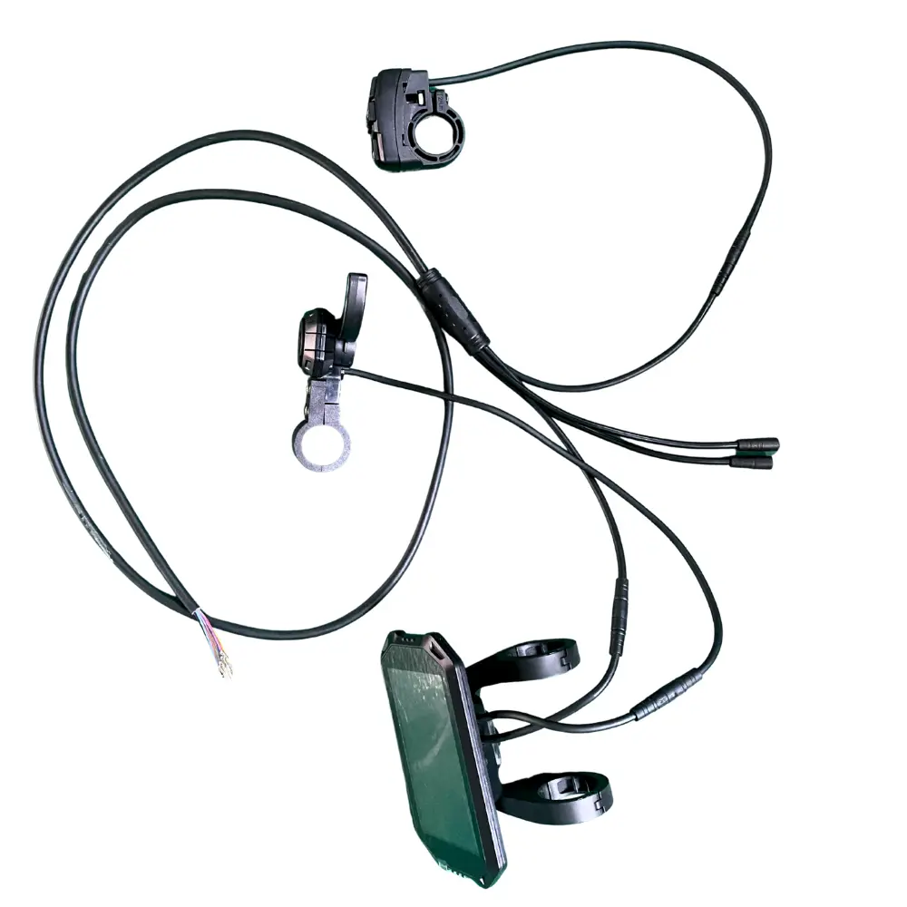 Reywmer kullter switch wocomotors