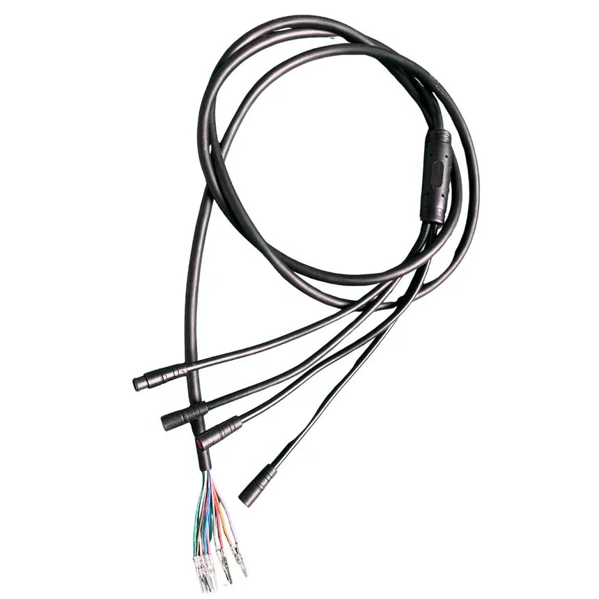 Reywmer kullter Max main wire wocomotors