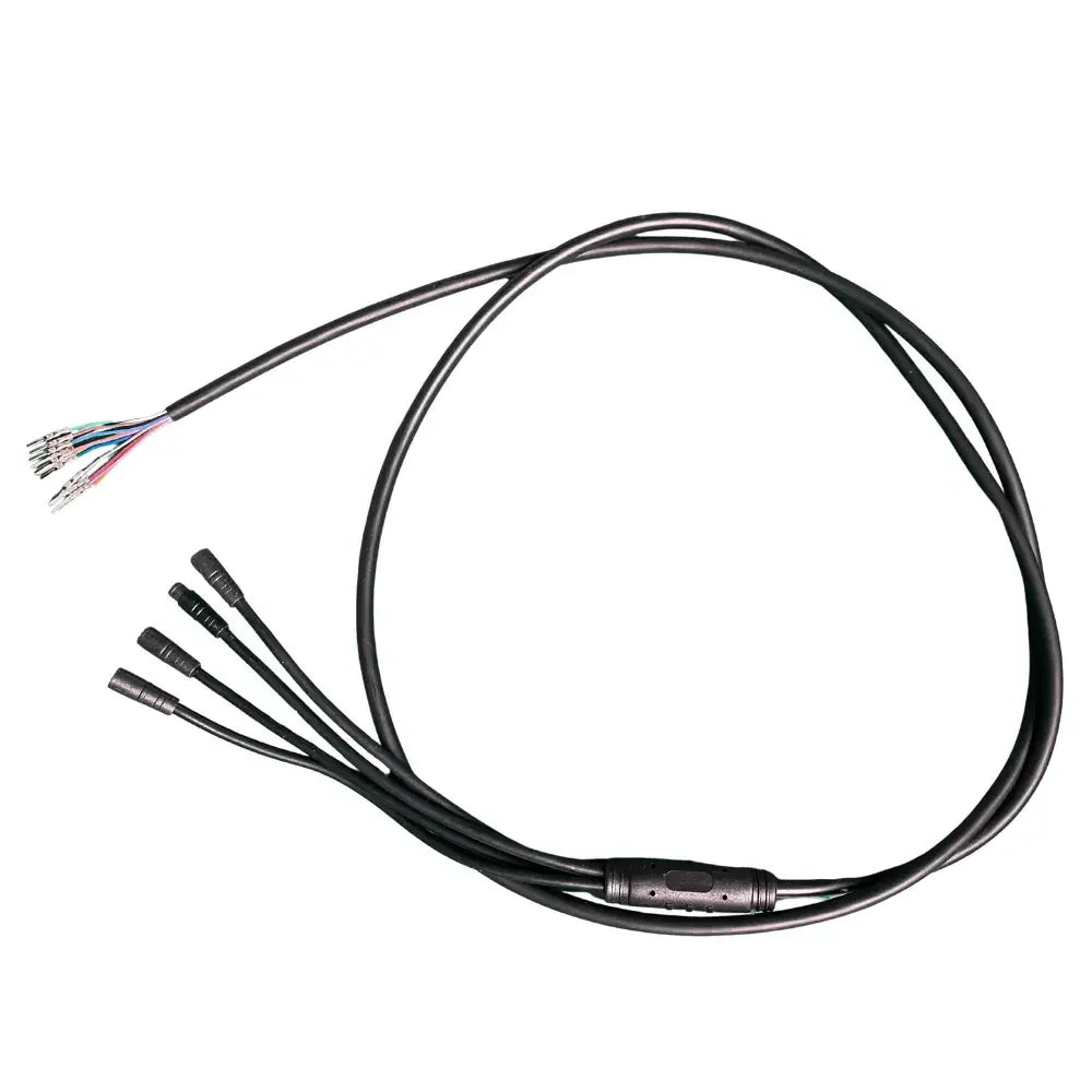 Reywmer kullter Max main wire wocomotors