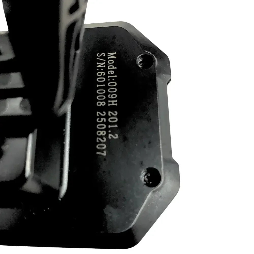 60v display for Reywmer kullter Max wocomotors