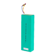 52v 21ah battery pack for speedway leger pro wocomotors