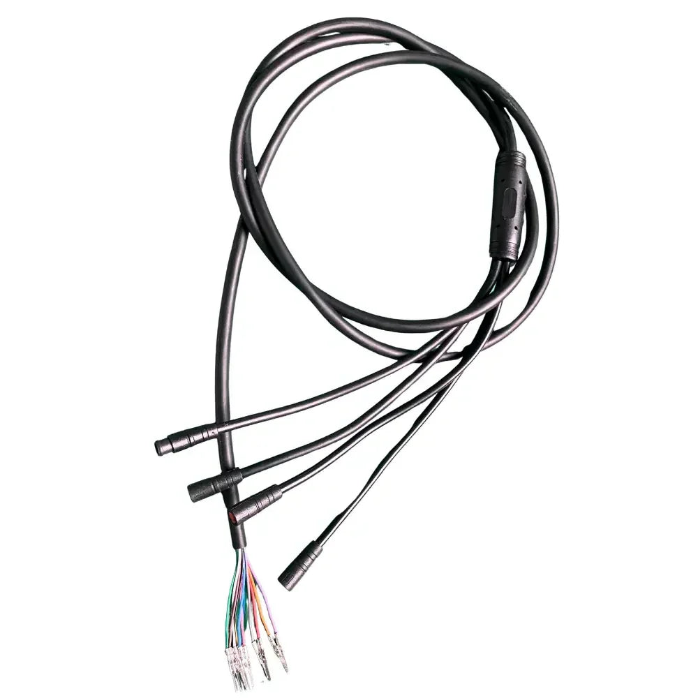 Reywmer kullter Max main wire wocomotors