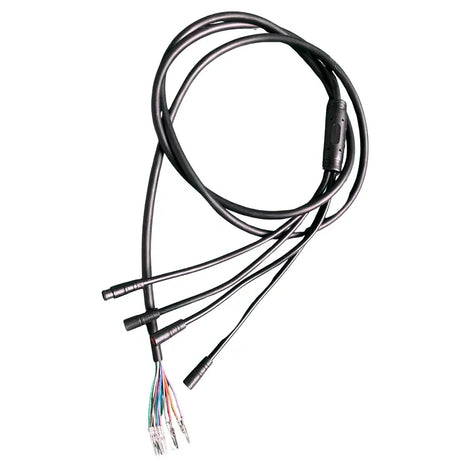 Reywmer kullter Max main wire wocomotors