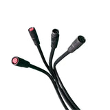 Reywmer kullter Max main wire wocomotors