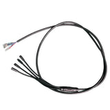 Reywmer kullter Max main wire wocomotors