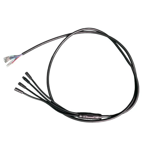 Reywmer kullter Max main wire wocomotors