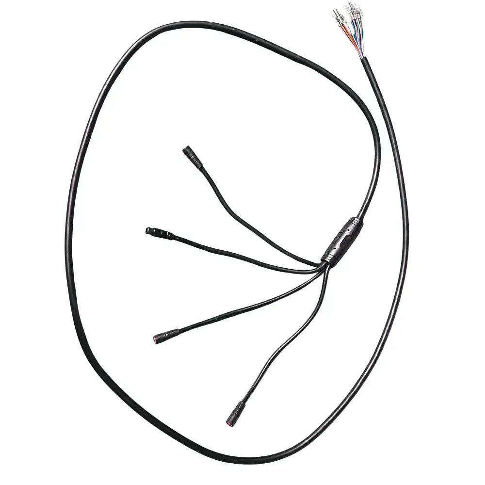 Reywmer kullter Max main wire wocomotors