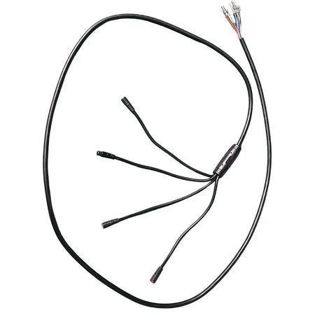 Reywmer kullter Max main wire wocomotors