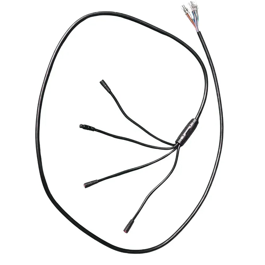 Reywmer kullter Max main wire wocomotors