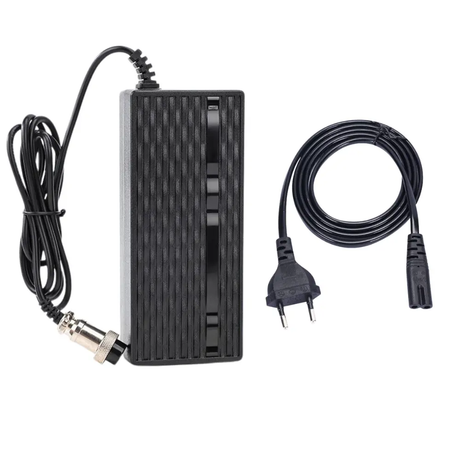 54.6v 2ah charger for Emove touring wocomotors