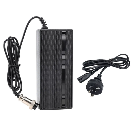 54.6v 2ah charger for Emove touring wocomotors