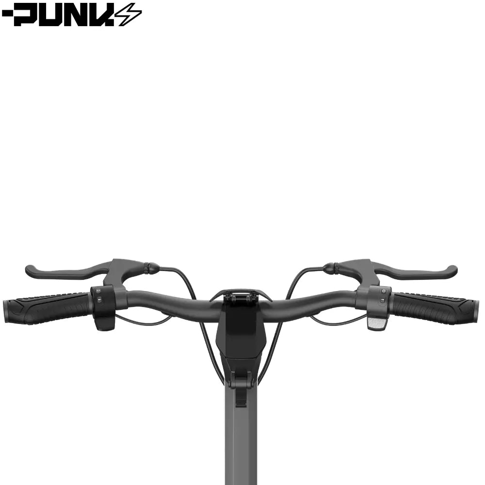 Punk Rider Pro - wocomotors